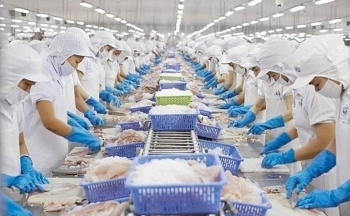 Xuất khẩu cá tra sang Đức giữ đà tăng trưởng dương