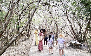 Thừa Thiên Huế: Rừng ngập mặn Rú Chá thu hút du khách
