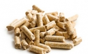 Hai thị trường xuất khẩu chủ lực của viên nén gỗ Việt Nam