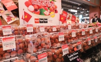 Nỗ lực quảng bá trái cây Việt Nam tại thị trường Thái Lan