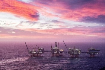 Giá xăng dầu hôm nay ngày 14/7/2023: Giá dầu thế giới tăng mạnh và ổn định