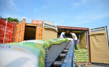 Thời cơ hiếm có của ngành gạo