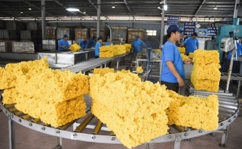 Xuất khẩu cao su tháng 6 tăng 50,4% về trị giá