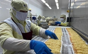 Xuất khẩu tôm sang nhiều thị trường đã tăng trưởng dương