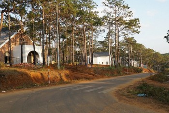 Kon Tum: Giao đất trái quy định, UBND huyện Kon Plông bị yêu cầu thu hồi và  xử lý nghiêm