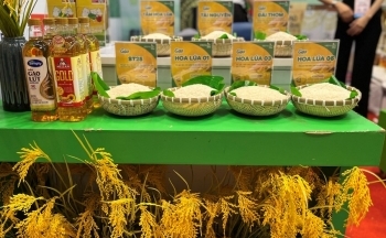 Ấn Độ cấm xuất khẩu gạo tẻ thường (Phi Basmati)