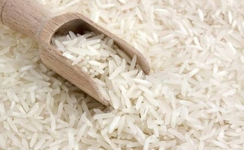 Việt Nam nhập khẩu nhiều gạo từ Ấn Độ