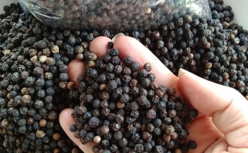 Lo xuất tiêu, điều sang Trung Đông nguy cơ dính lừa, Bộ Công Thương khuyến cáo