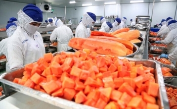 Xuất khẩu sang Hàn Quốc dần hồi phục rõ nét