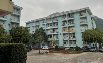 Tỉnh Quảng Ninh: Không để xảy ra đầu cơ, trục lợi từ nhà ở xã hội
