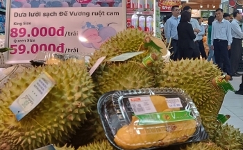 Trung Quốc chi 350 triệu USD mua sầu riêng Việt Nam chỉ trong 1 tháng