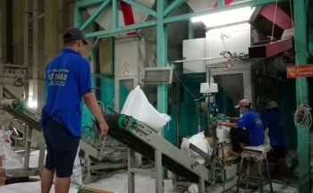 Nông sản Việt Nam “đắt hàng” tại thị trường ASEAN