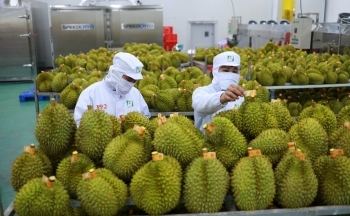 Xuất khẩu rau quả 6 tháng 2023 tăng thêm 1 tỷ USD