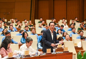 Lãnh đạo Bộ, ngành làm rõ tình trạng trốn đóng bảo hiểm xã hội