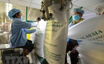 Giá gạo xuất khẩu tăng vọt còn giá cà phê tiếp tục lao dốc