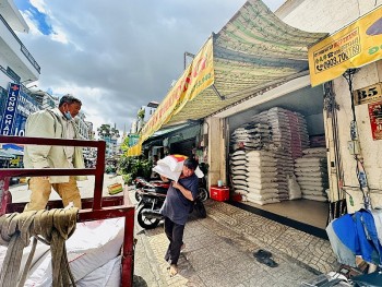 Giá lúa gạo hôm nay ngày 23/8/2023: Giá gạo tăng, giao dịch chậm, nhà máy mua nhỏ giọt