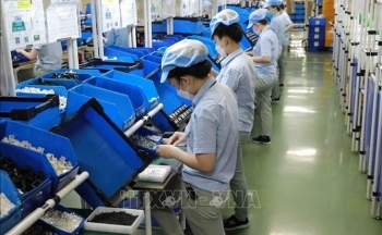 Giới kinh doanh Singapore đánh giá cao tiềm năng hợp tác với Việt Nam