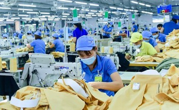 Số lượng các vụ lừa đảo doanh nghiệp Việt Nam xuất khẩu sang Canada đang gia tăng