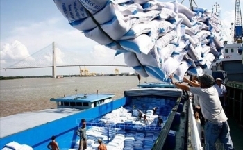 3 năm EVFTA: Cơ hội rộng mở cho hàng hóa Việt Nam vào châu Âu