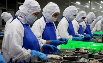 3 năm EVFTA: Các sản phẩm ngành nông nghiệp hưởng lợi lớn nhất