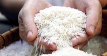 Giá gạo liên tục tăng, doanh nghiệp, đại lý chỉ dám