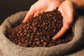 Xuất khẩu nông sản sang UAE: Giá phải hấp dẫn