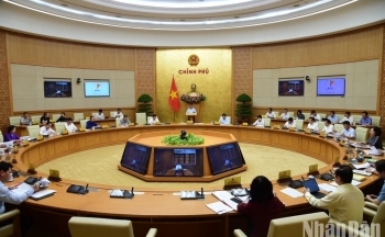 Nền kinh tế nước ta đã có nhiều dấu hiệu khởi sắc, tích cực hơn