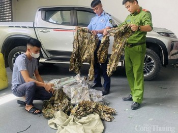 Quản lý thị trường Nghệ An phạt cửa hàng bán quần áo không rõ nguồn gốc, có website vi phạm qui định