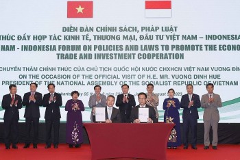 Thúc đẩy hợp tác kinh tế, thương mại, đầu tư Việt Nam - Indonesia