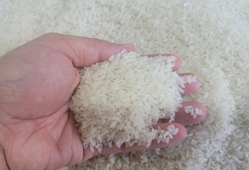 Giá gạo tăng nóng, cổ phiếu nhóm lương thực ra sao?