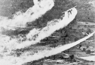 62 năm thảm họa da cam ở Việt Nam: Chung tay xoa dịu nỗi đau da cam