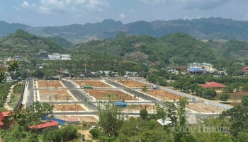 Ban hành hướng dẫn về định giá đất trước ngày 15/8