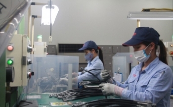 Các địa phương nào đạt kim ngạch xuất khẩu trên 10 tỷ USD sau 7 tháng năm 2023?