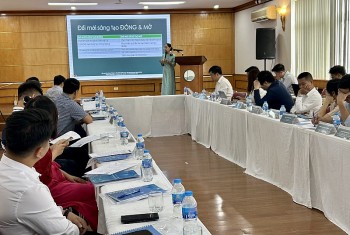 Đổi mới sáng tạo để tận dụng tiềm năng tỷ đô từ dược liệu Việt Nam