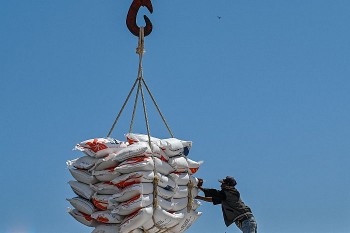 Giá gạo châu Á đạt mức cao nhất trong 15 năm