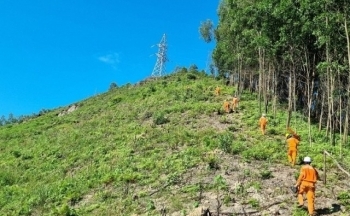 Ngành điện miền Bắc: Khởi công 23 dự án và đóng điện 22 dự án lưới điện 110kV