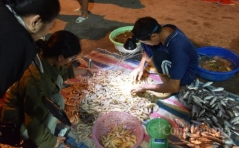 Bình dân, bình dị chợ cá đảo Quan Lạn