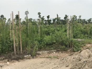 Hà Nội lập Tổ công tác đặc biệt gỡ khó cho doanh nghiệp, nhà đầu tư: Chuyên gia nhận định gì?