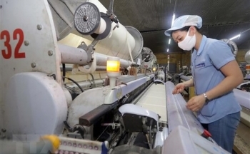 Doanh nghiệp Việt Nam tận dụng các FTA nâng cao vị thế thương hiệu