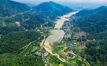 Bài cuối: Đừng để lợi ích tư nhân ảnh hưởng tới xử lý vi phạm