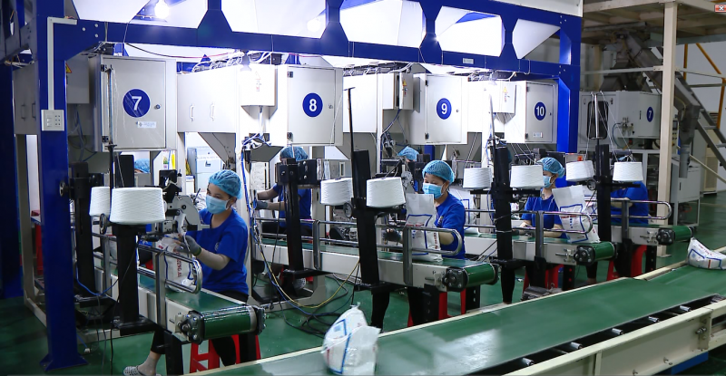 Đẩy mạnh xuất khẩu và bình ổn giá gạo trong nước: Bộ Công Thương đã