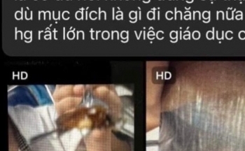 Nhà trường báo cáo gì về việc có côn trùng trong bữa ăn của học sinh?