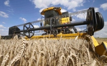 Triển vọng xuất khẩu ở Biển Đen đã tạo sức ép tới giá ngô và lúa mì