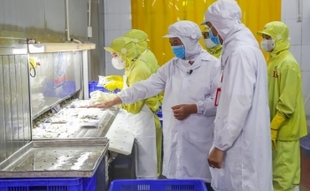 Agribank dành hơn 60.000 tỷ đồng tín dụng ưu đãi hỗ trợ khách hàng