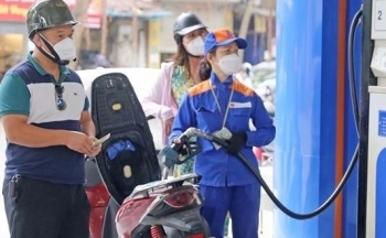 Giá xăng dầu hôm nay ngày 24/8/2023: Giá dầu tiếp tục đi xuống dù dự trữ dầu giảm