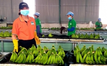 Hoàng Anh Gia Lai (HAG) muốn chào bán lượng lớn cổ phiếu để cơ cấu các khoản vay