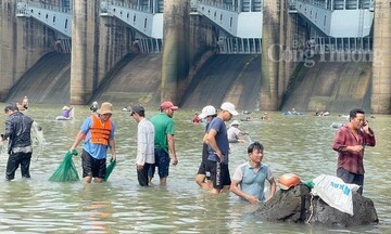 Đồng Nai: Hàng trăm người dân đổ xô vào Thủy điện Trị An bắt cá 