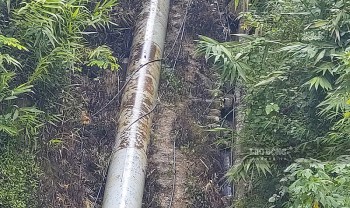 Hiện trường nghi nhiễm thuốc diệt cỏ khiến hàng chục người nhập viện