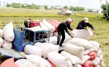 Bài 2: Không để xảy ra tình trạng đầu cơ trục lợi giá gạo