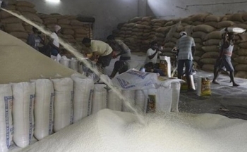 Ấn Độ áp thuế 20% đối với gạo đồ, thị trường gạo đối mặt khó khăn mới